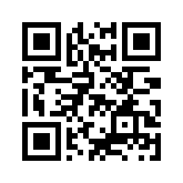 Lightning QR